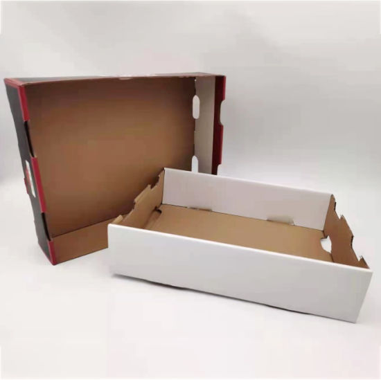 Multifunctional Carton Fruit Packaging Paper Box